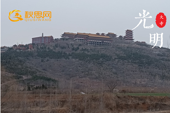 秋思网|峄城区|榴园镇|大光明寺附近|私人林地|三百亩可分租