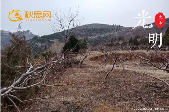 枣庄公墓网|秋思网|峄城区|榴园镇|大光明寺东北侧|私人林地